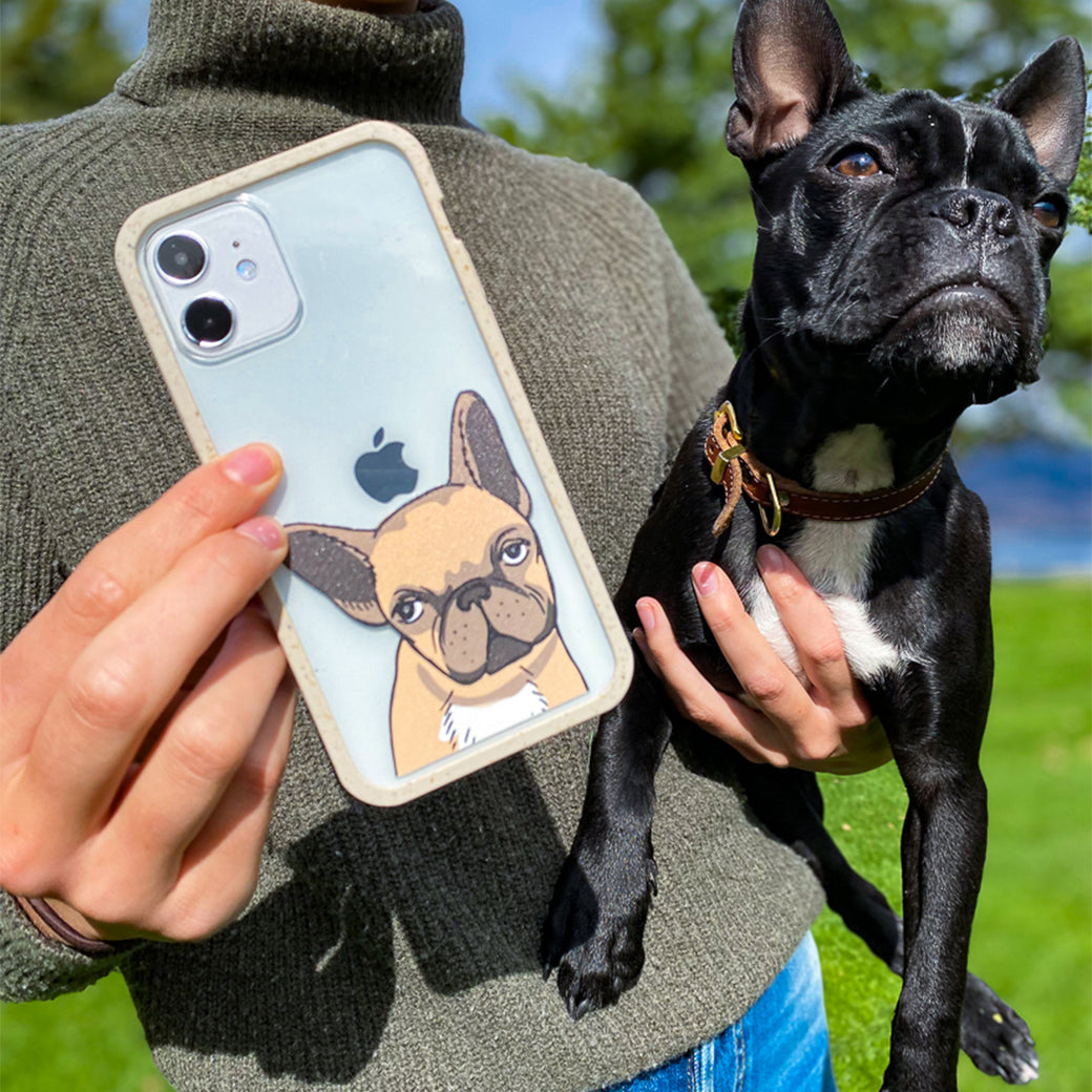 Clear Frenchie Portrait iPhone 12 Mini Case With London Fog Ridge